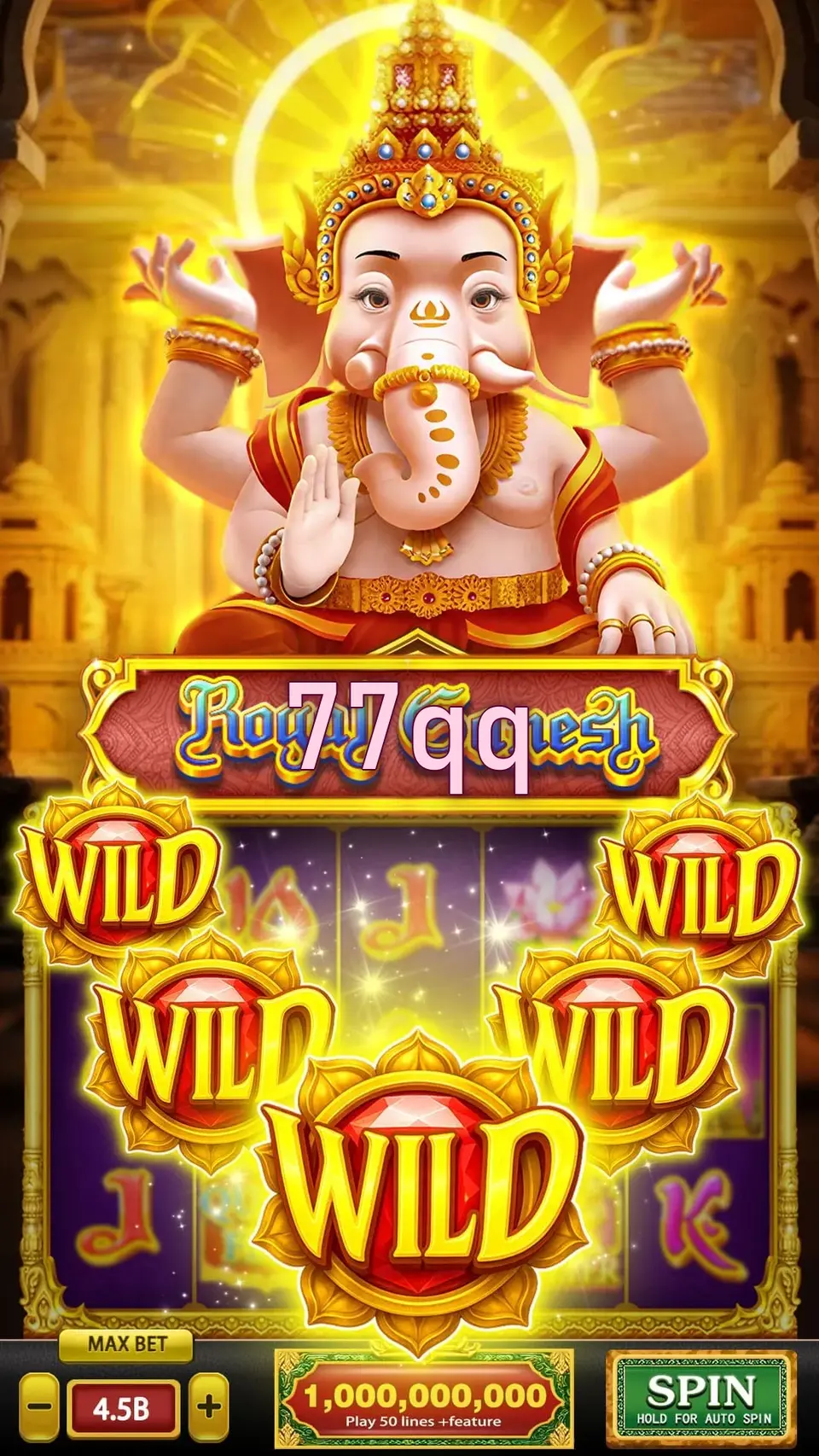 77qq APK